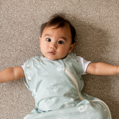 Υπνόσακος Tommee Tippee Swaddlebag 1.0 tog Woodland Gro Friends 0-3 μηνών