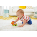 Οχηματάκια Ζωάκια Poppity Pop Fisher-Price®