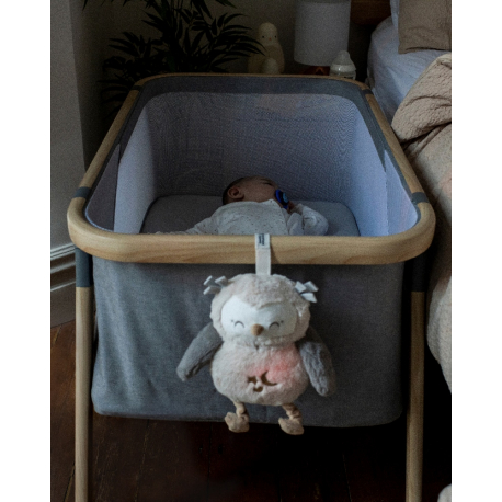Κουκουβάγια ύπνου μεγάλη Tommee Tippee Ollie the Owl Deluxe Sleep Aid