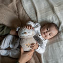 Κουκουβάγια ύπνου μεγάλη Tommee Tippee Ollie the Owl Deluxe Sleep Aid