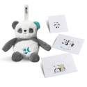 Πάντα ύπνου μεγάλο Tommee Tippee Pip the Panda Deluxe Sleep Aid