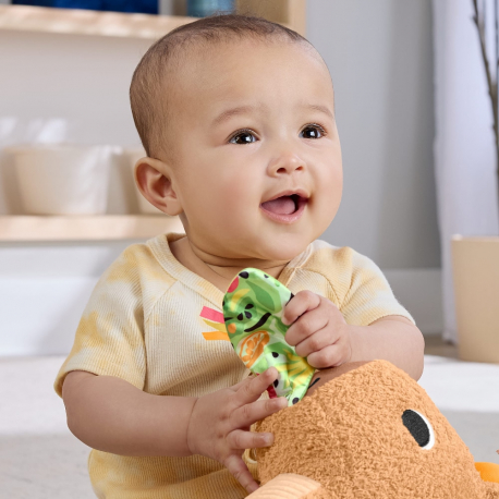 Μαλακό καπιμπάρα δραστηριοτήτων Fisher-Price®