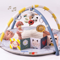 Γυμναστήριο με μουσικό περιστρεφόμενο Taf toys Melody Bloom