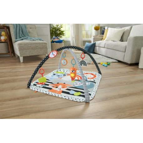 Μουσικό γυμναστήριο 3 σε 1 Fisher-Price®