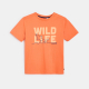 Light Orange