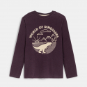 TWILD TS ML ANIM DINO OKG H24