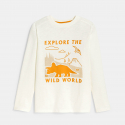 TWILD TS ML ANIM DINO OKG H24