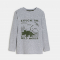 TWILD TS ML ANIM DINO OKG H24