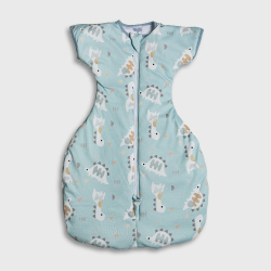 Υπνόσακος Tender Swaddle Arms Up Transition Dino 0.5 Tog