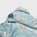 Υπνόσακος Tender Swaddle Arms Up Transition Dino 0.5 Tog
