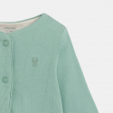 CARDI ARNO VM