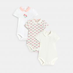 LOT 3 BODY COL ELLIE