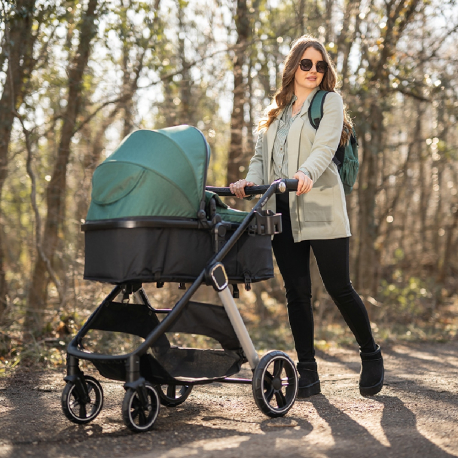 Καρότσι Lorelli® Aspen 2in1 Green