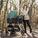 Καρότσι Lorelli® Aspen 2in1 Green