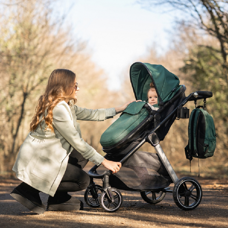 Καρότσι Lorelli® Aspen 2in1 Green
