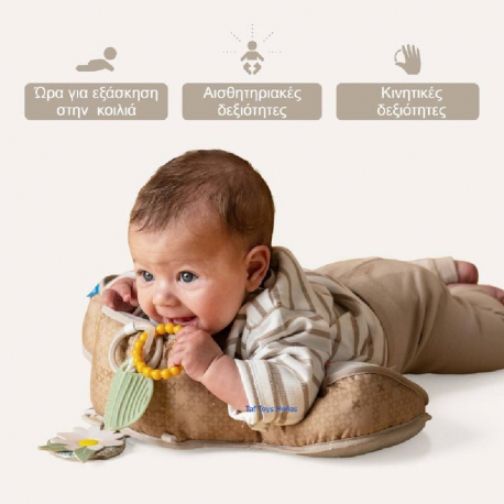 Βρεφικό μαξιλάρι στήριξης Taf toys Bear Tummy Time Pillow