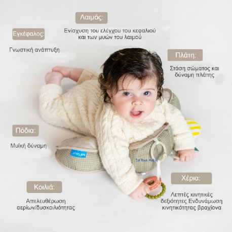 Βρεφικό μαξιλάρι στήριξης Taf toys Panda Tummy Time Pillow