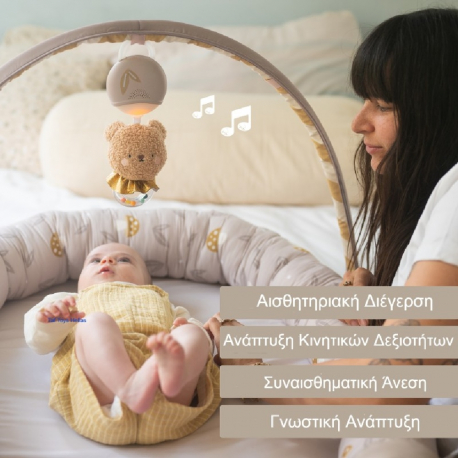 Βρεφική φωλιά - γυμναστήριο 2 σε 1 Taf toys Little Explorer