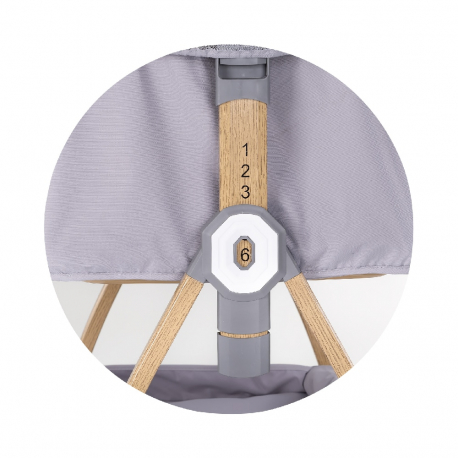 Λίκνο προσαρμοζόμενο στο κρεβάτι των γονιών Chipolino Charisma Platinum/Wood