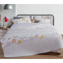 Κουβερλί μονό microfiber Nef-Nef Homeware Dinosaur Art 180x240 cm