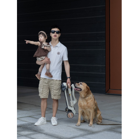 Πατίνι με κάθισμα Lecoco® Speed LV3 Καφέ