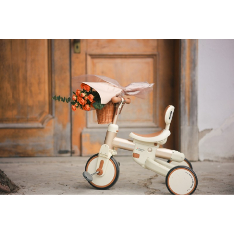 Τρίκυκλο και ποδήλατο ισορροπίας Lecoco® Walker S3 Καφέ