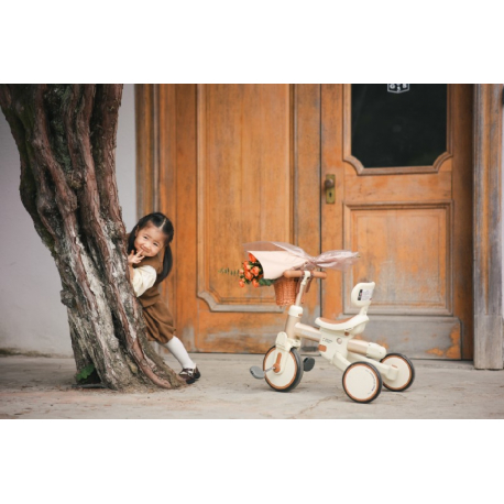 Τρίκυκλο και ποδήλατο ισορροπίας Lecoco® Walker S3 Καφέ