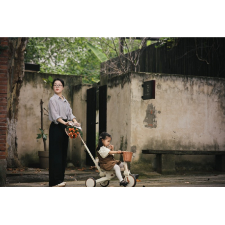 Τρίκυκλο και ποδήλατο ισορροπίας Lecoco® Walker S3 Καφέ