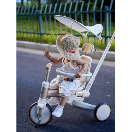 Τρίκυκλο ποδήλατο Lecoco® Walker S3max με δακτύλιο ασφαλείας Πράσινο