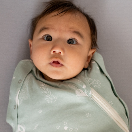 Υπνόσακος Tommee Tippee Swaddlebag 2.5 tog Woodland Gro Friends 0-3 μηνών