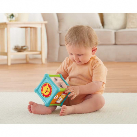 Κύβος δραστηριοτήτων με ζωάκια Fisher-Price® BFH80