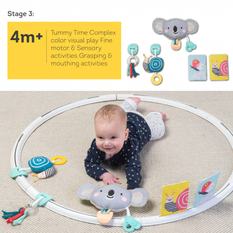 Στεφάνι δραστηριοτήτων Taf toys All Around Me Activity Hoop