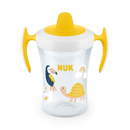 Εκπαιδευτικό κύπελλο Nuk® Evolution Trainer Cup 230 ml 6M+