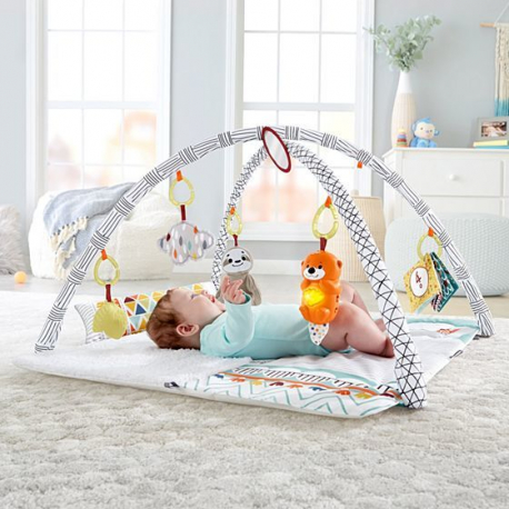 Γυμναστήριο Deluxe Fisher-Price Perfect Sense GKD45