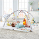 Γυμναστήριο Deluxe Fisher-Price Perfect Sense GKD45