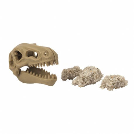 Σετ ανασκαφής δεινόσαυρου T-Rex Oxybul EDUC4bul