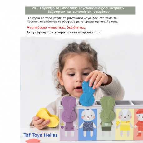 Εκπαιδευτικό παιχνίδι Taf Τoys Match &amp; count bunny toy