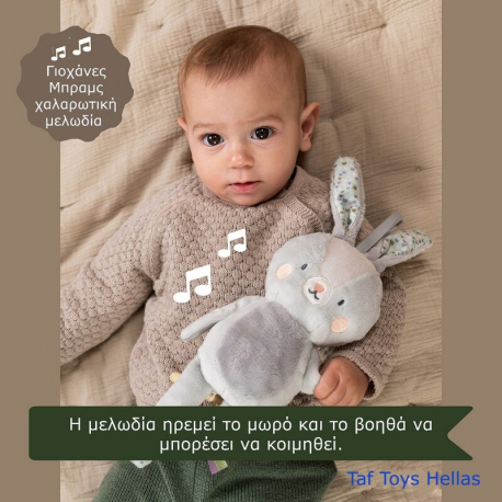 Μουσικό λαγουδάκι Taf Τoys Rylee musical Bunny