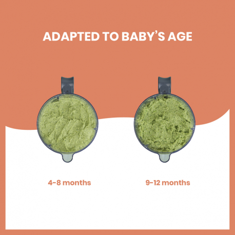 Πολυσυσκευή βρεφικής τροφής 4 σε 1 Babymoov Nutribaby One