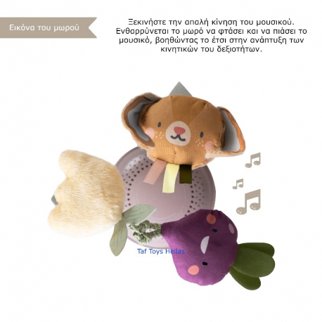 Μουσικό κρεμαστό καροτσιού Taf Toys Garden Take along mobile