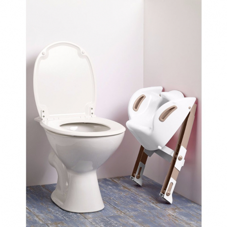 Kάθισμα τουαλέτας με σκαλάκι Thermobaby Kiddyloo Mint