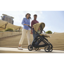 Σύστημα μεταφοράς Inglesina Electa Darwin Quattro Union Grey - Chassis Silver