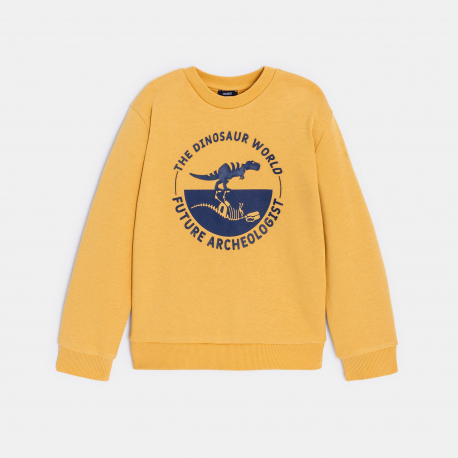 Okaidi Boy&#039;s blue dinosaur motif sweatshirt