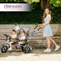 Τρίκυκλο ποδήλατο διδύμων Chipolino 2Play Silver Grey