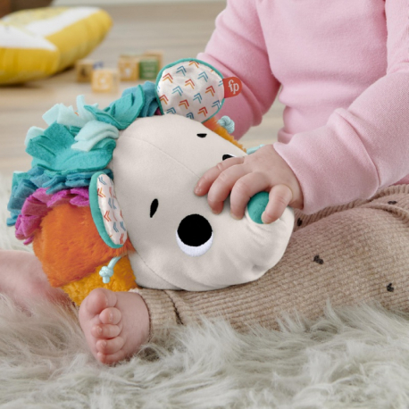 Μαλακό σκαντζοχοιράκι Ουράνιο τόξο Fisher-Price®