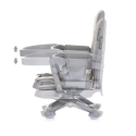 Φορητό κάθισμα φαγητού Chipolino Lollipop Ash Grey