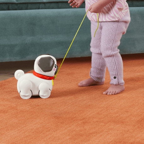 Συρόμενο σκυλάκι Pug Fisher-Price®