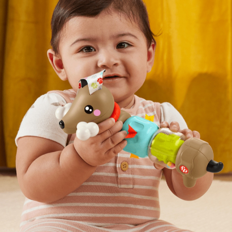 Σκυλάκι δραστηριοτήτων Fisher-Price® Click &amp; Spin Activity Pup™